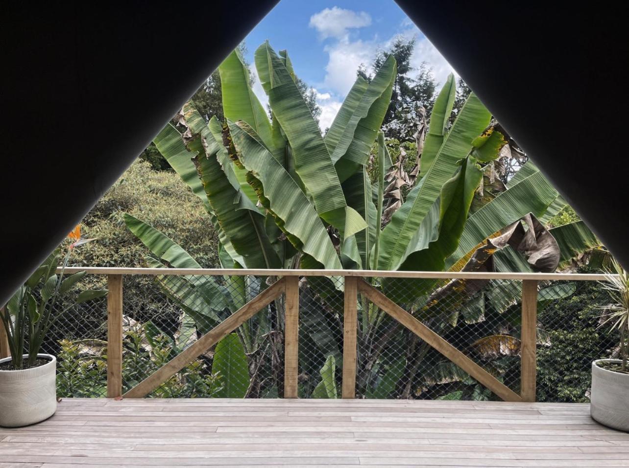 Teva Glamping & Retreat Hotell Rionegro Rom bilde