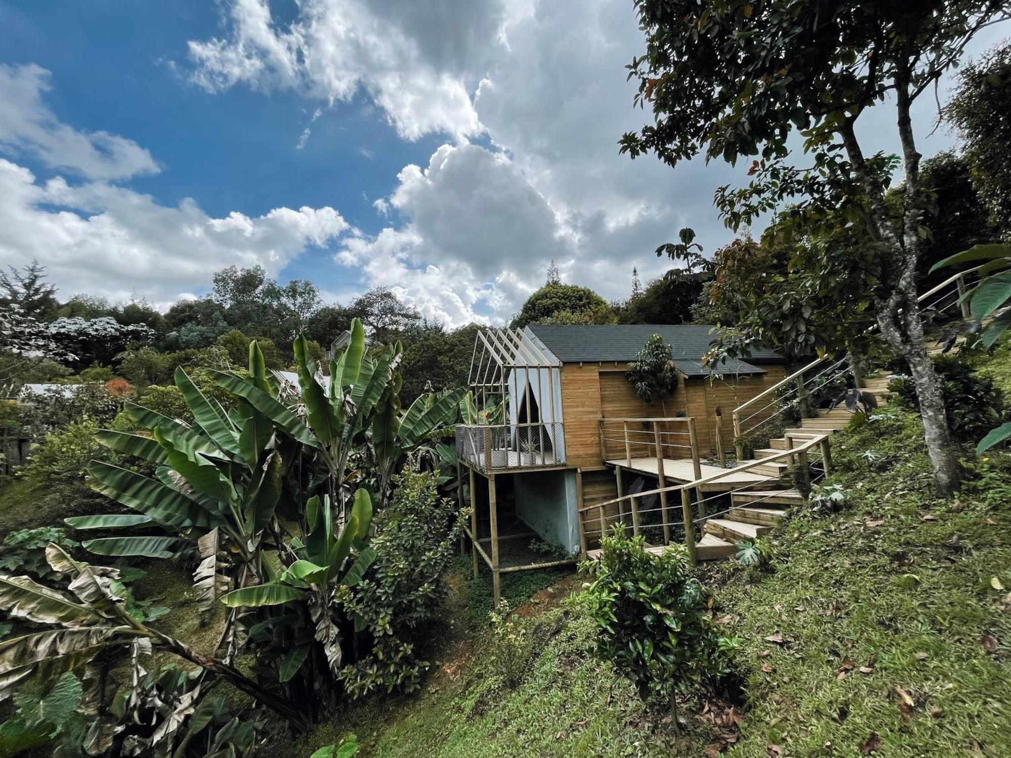 Teva Glamping & Retreat Hotell Rionegro Rom bilde